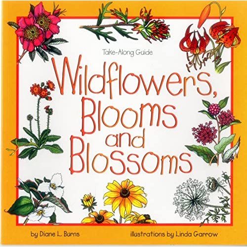 Wildflowers, Blooms & Blossoms (Take Along Guides)