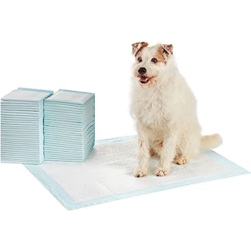 Amazon Basics Dog and Puppy Pee Pads with 5-Layer Leak-Proof Design and Quick-Dry Surface for Potty Training, Standard Absorbency, X-Large, 28 x 34 Inch - Pack of 60, Blue & White