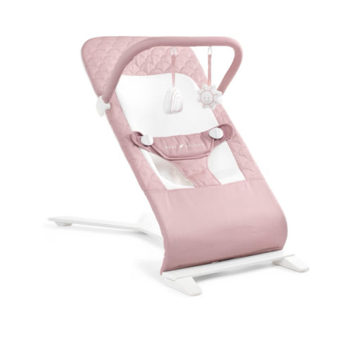 Amazon.com : Baby Delight Alpine Deluxe Portable Baby Bouncer | Infant | 0-6 Months | 100% GOTS Certified Organic Cotton Fabric | Organic Rose : Baby