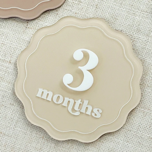 Acrylic Scallop Milestone Cards | Monthly Milestone Markers | Boho Interchangeable Milestone Card | Baby Shower Gift | Photo Prop