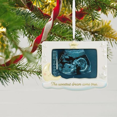 Hallmark Keepsake Christmas Ornament 2023