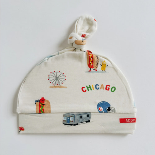 Chicago Field Trip NB Hat