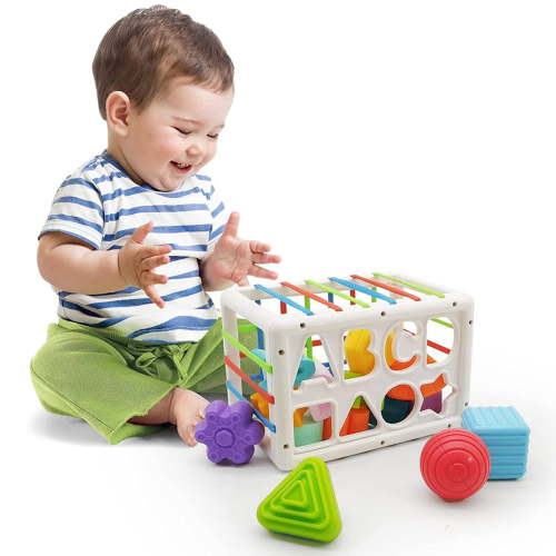 Sensory Toys for 1 Year Old, Shape Sorting Learning Toys for Baby 6-12 Months, Montessori Toys for Toddler Boys Girls