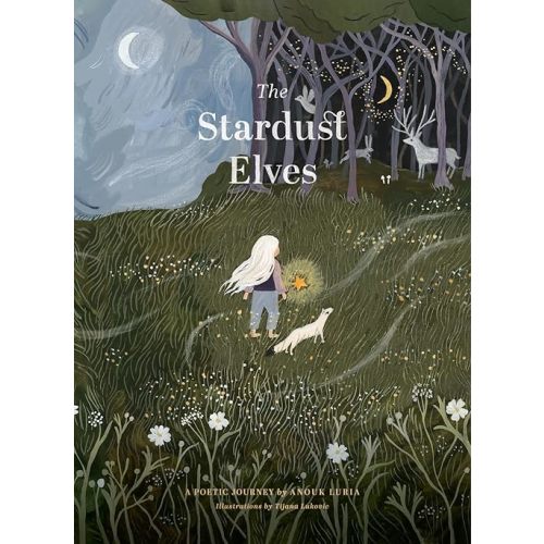 The Stardust Elves Hardcover – January 1, 2021