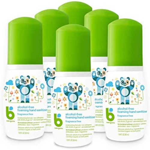 Babyganics Foaming Pump Hand Sanitizer, Alcohol Free, Travel Size, Fragrance Free, Kills 99.9% of Common Bacteria, Moisturizing, 1.69oz (Pack of 6)