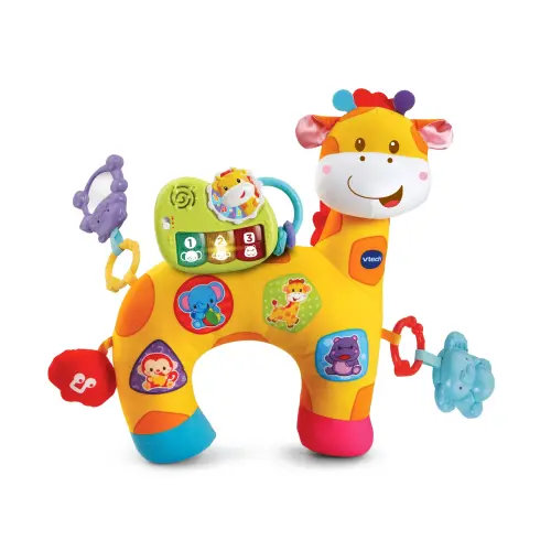 Vtech Baby Tummy Time Discovery Pillow