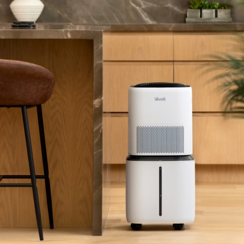 Levoit Superior 6000S Smart Evaporative Humidifier