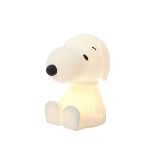 Bundle of Light