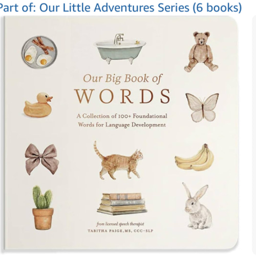 Our Big Book of First Words: A Collection of 100+ Foundational Words for Language Development (Tabitha Paige Children's Book Series)