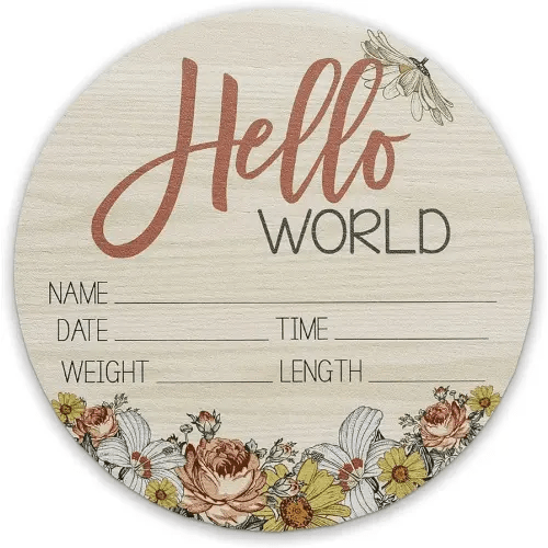 Birth Stat Sign for Newborn Baby, 6" Floral Design, Hello World, Gift for New Mom, Baby Shower, Gender Reveal, Crib & Nursery Decor, Pregnancy Announcement, Photography Prop, Hickory Hollow Designs