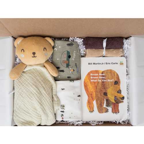 Baby boy gift box, baby boy shower gift, Book, Bodysuits, newborn baby gift, baby gift basket, baby Bear gift basket