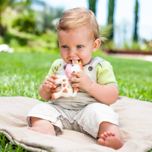 Infantino Squeeze & Teethe - Cow