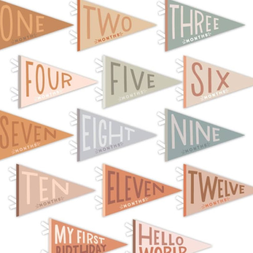 Lucy Darling Petit Milestone Pennants – Baby Monthly Milestone Pennant Flags – Newborn Photo Props & Felt Nursery Decor – Keepsake Banner Set for Baby Photos – Mountain Fields