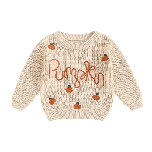 Baby Halloween Sweater Pumpkin Print Long Sleeve Crewneck Embroidery Knit Sweatshirt Toddler Fall Winter Pullover