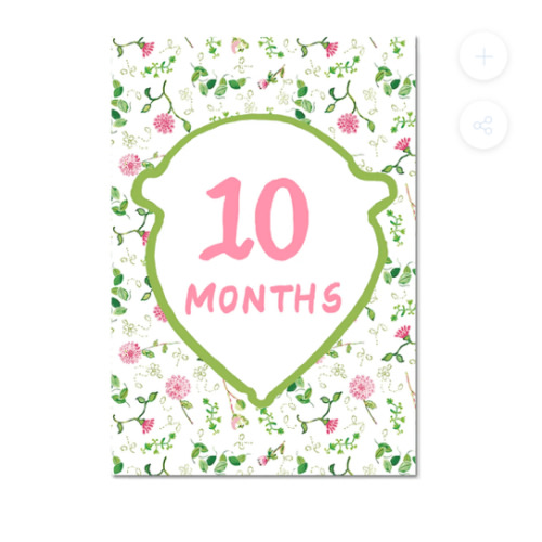 Baby Milestone Cards: Pink + Green Set