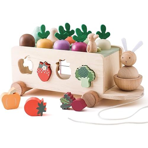 OESSUF Montessori Toys Toddlers Wooden Educational Toys for Baby Boys Girls, Shape Sorting & Matching Fine Motor Skills Toys, Birthday Gifts for Kids