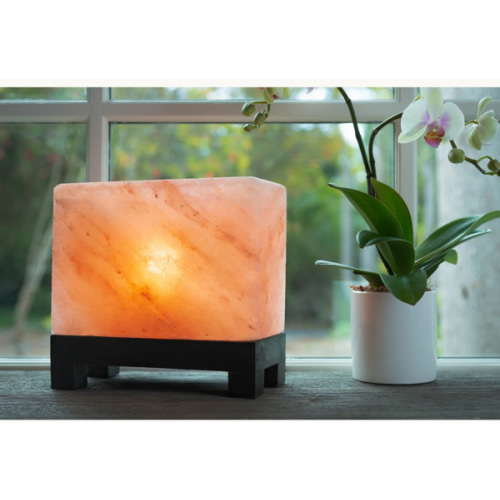 Rectangle Himalayan Rock Salt Lamp - FREE SHIPPING! – daplombusa