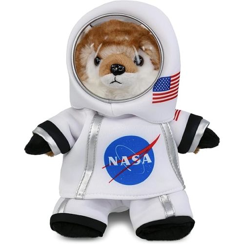 DolliBu Fox Astronaut Plush Toy - Wild Life Astronaut Stuffed Animal with Space Helmet and NASA Astronaut Suit, Spaceman Doll Decor for Girls and Boys with Personalization - 9.5 Inch