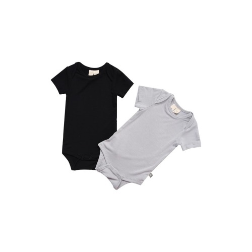 Assorted 2-Pack Bodysuits, 0-3M