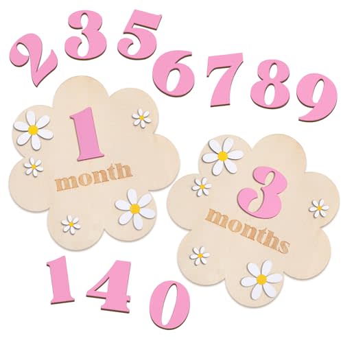Burbell 3D Wooden Daisy Baby Monthly Milestone Sign Cards 1-12 Months Interchangeable Monthly Milestone Wood Discs Announcement Sign for Baby Shower Newborn Photo Props Gifts(Pink)