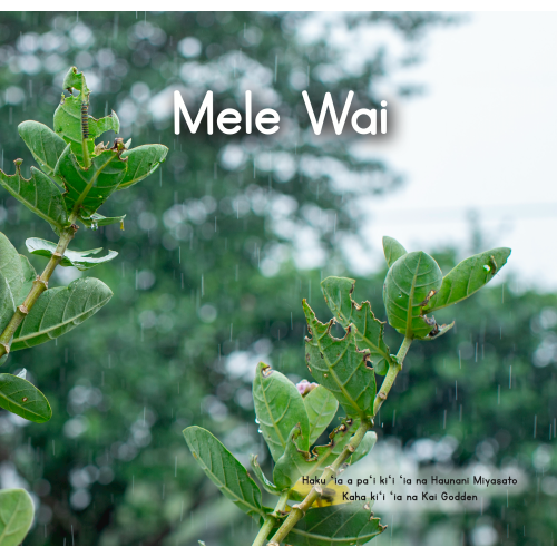 Mele Wai - Hawaiian language board books