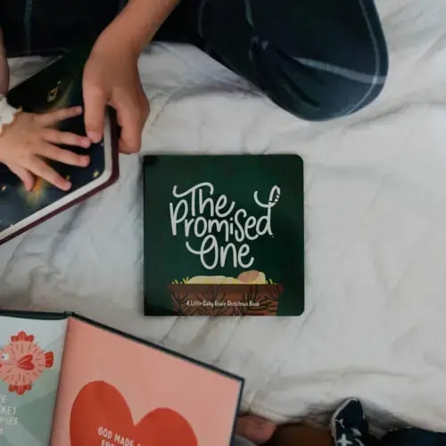 The Promised One - Board Book | TDGC – The Daily Grace Co.