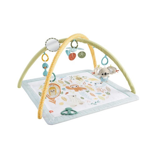 Fisher-Price Simply Senses Newborn Activity Gym, Ages 0+