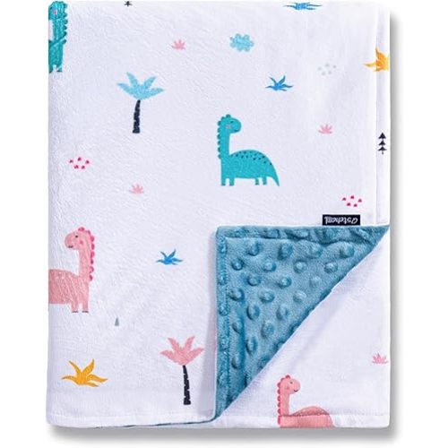 QSTEHEML Baby Blanket Neutral,Super Soft Minky Blanket Unisex, Baby Gifts for Girls Boys,Double Layer with Dotted Backing, Newborn Blankets for Crib Stroller(Dinosaur,30 * 40inch)