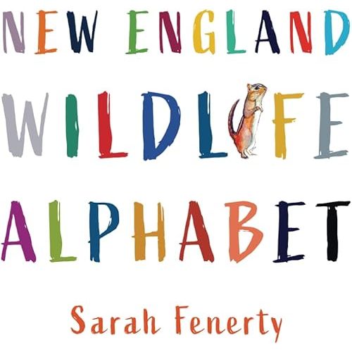 New England Wildlife Alphabet Paperback – Large Print, November 9, 2024
