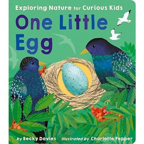 One Little Egg: Exploring Nature for Curious Kids