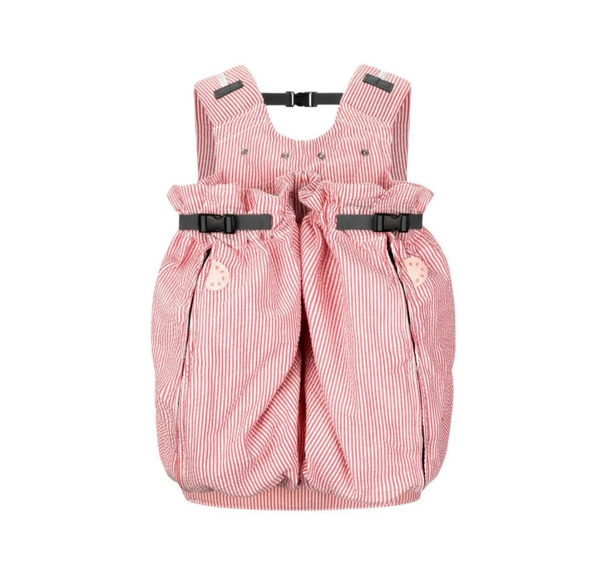 The Weego TWIN Baby Carrier