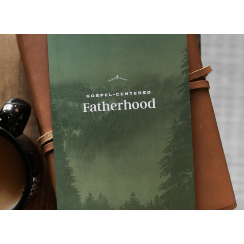 Gospel-Centered Fatherhood | TDGC – The Daily Grace Co.