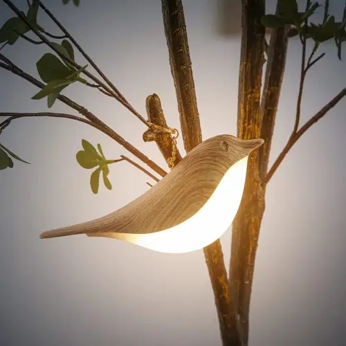 YM Dragon Touch Dimmable Night Light for Kids, Small Bird Table Lamp with 3 Level Brightness for Home Decor, Rechargeable Plastic Bedside Lamp for Bird Lovers, Cordless Portable Light for Outdoor