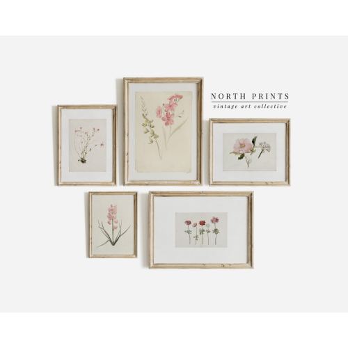 Soft Pink Botanical Gallery Wall Print SET | Vintage Flower Prints | Nursery Decor | PRINTABLE #S81