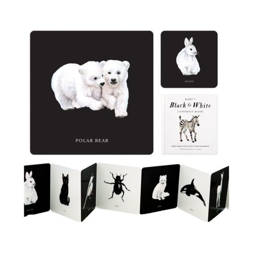 Baby's Black and White Contrast Book - (Tabitha Paige Children's Book) by Tabitha Paige (Board Book)