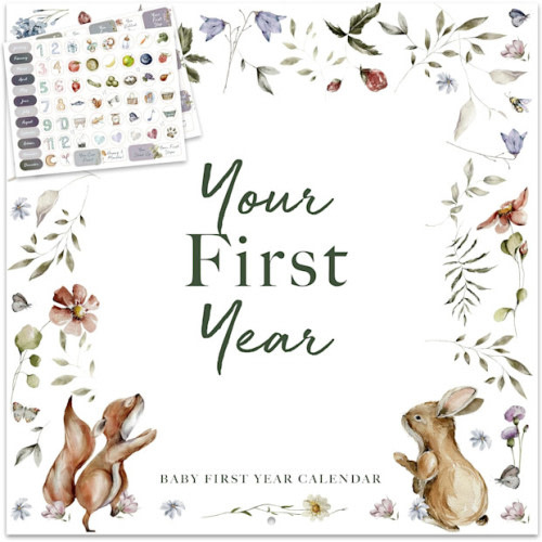 Baby's First Year Memory & 1st Year Calendar