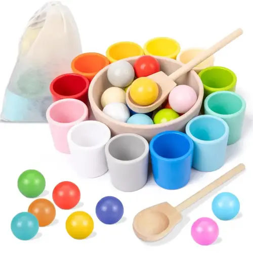 Random Color Wooden Color Matching Sensory Toy with Storage Bag, - TikTok Shop