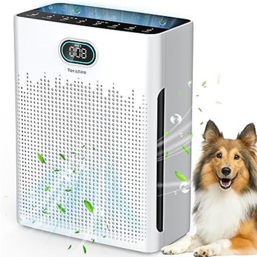 Air Purifiers for Home, PM 2.5 Air Quality Monitor Cover Up to 2200 Ft² with Pet mode, Timer, HEPA Air Purifier with Washable Pre-filter, Fragrance Sponge for Smoke, Odor, Dander, Pollen (Black)