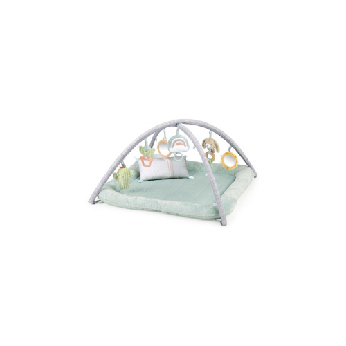 InGenuity Calm Springs Plush Activity Gym Chic Boutique