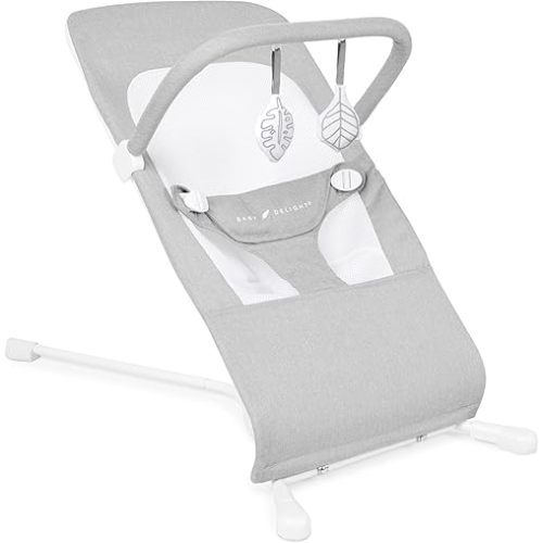 Baby Delight Highland Baby Bouncer | Infant | 0 – 6 Months | 3-Position Recline | Pebble Grey