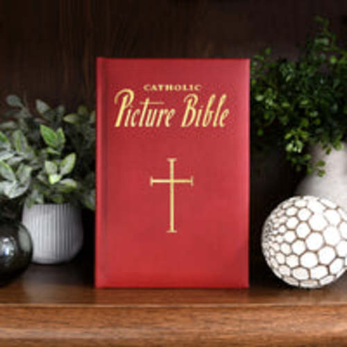 New Catholic Picture Bible – Catholic Book Publishing