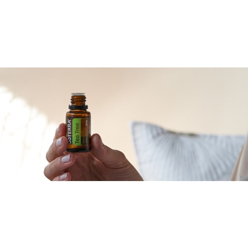 Tea Tree Essential Oil | doTERRA Essential Oils