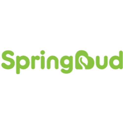 FDA Approved, 1-2 Days Delivery, SpringBud FD-500B Fetal Heart Doppler