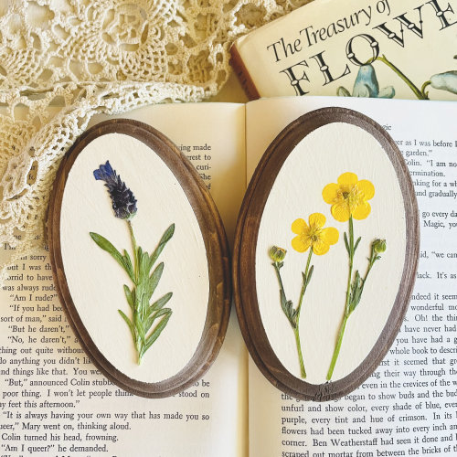 Small Floral Wall Painting Gift Set | Botanical Oval Wall Hanging | Pressed Floral Wall Art | Framed Pressed Wildflowers | Nature Lover Gift