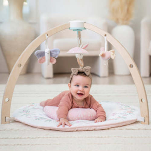 Organic Cotton Muslin Swaddles 4 Pack in Fresh Fruit | aden + anais