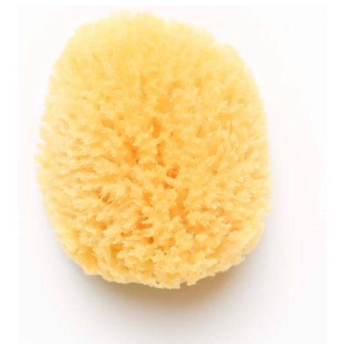 Kyte Baby Natural Sea Sponge, 4 to 5 Inches