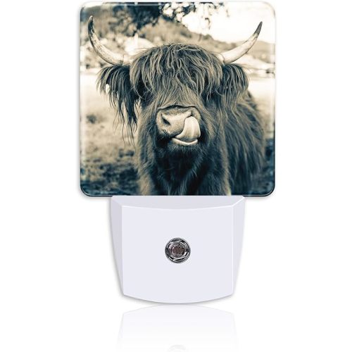 Night Light for Kids Girls Boys,Funny Dark Highland Cow LED Night Light Plug into Wall with Dusk to Dawn Sensor for Room Decor,Hallway,Kitchen,Bathroom,Nursery,Stairs