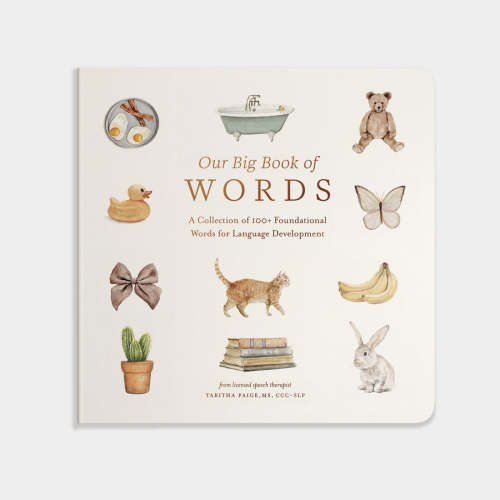 Our Big Book of First Words - Tabitha Paige