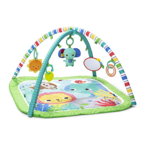 Bright Starts Wild Wiggles FoldAway Activity Gym, 0 - 12 months - Walmart.ca