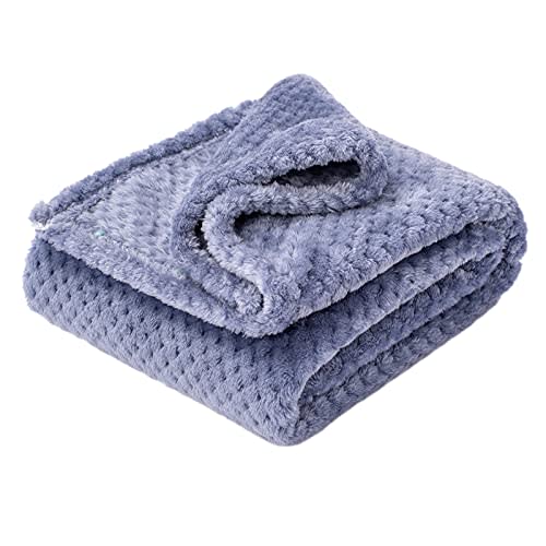 Fuzzy Blanket or Fluffy Blanket for Baby Girl or boy, Soft Warm Cozy Coral Fleece Toddler, Infant or Newborn Receiving Blanket for Crib, Stroller, Travel, Decorative (40Wx60L, M-Pearl Blue)